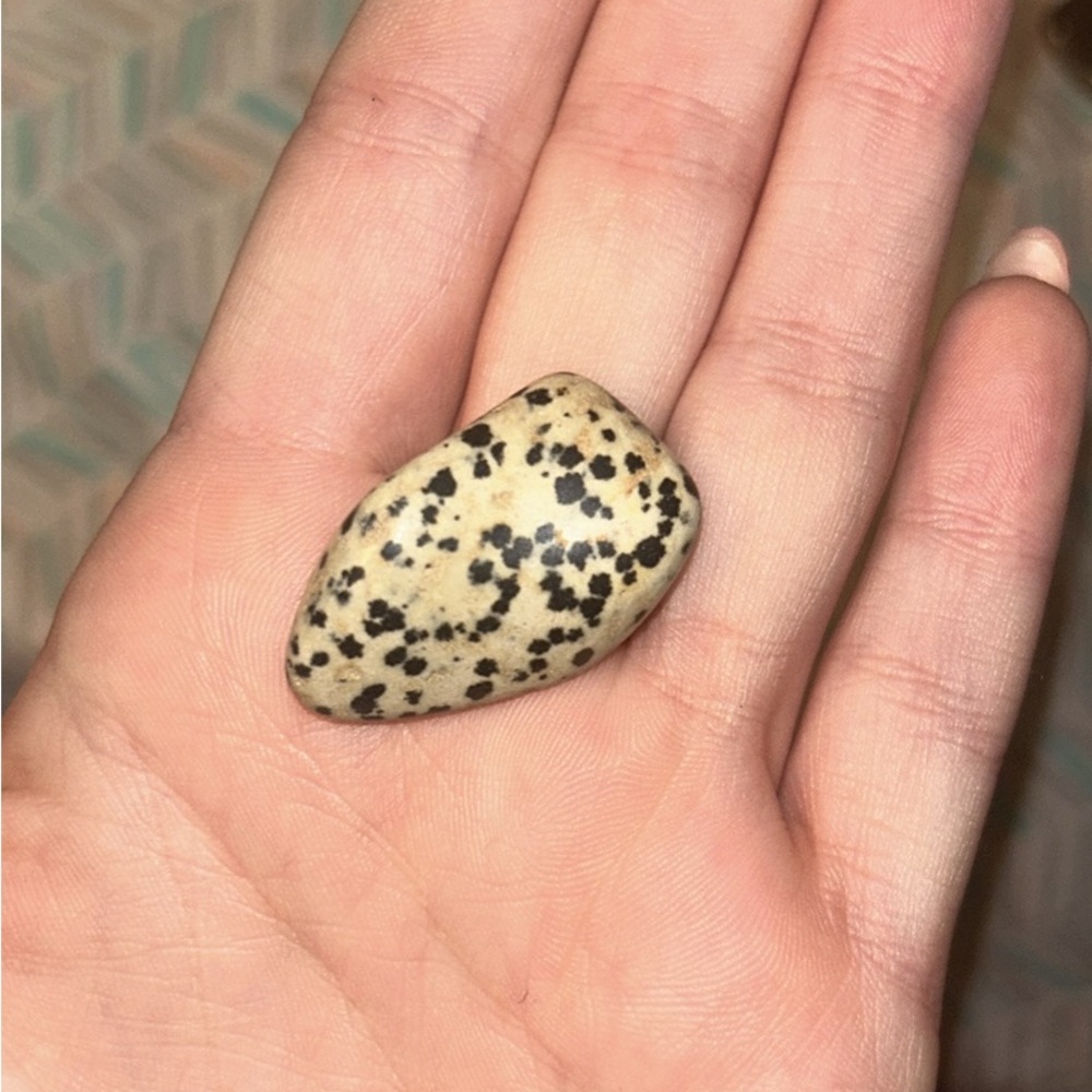 Dalmation Jasper Crystal